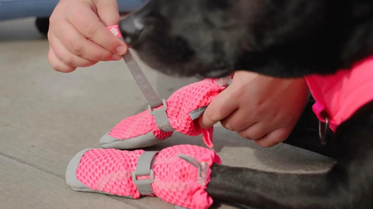 Canada Pooch Dog Boots for Hot Pavement - Dog Boots & Paw Protectors with Anti Slip Rubber | Water Friendly, Breathable Dog Shoes for Hot Days, Great for Dogs Neon Pink - Size 4